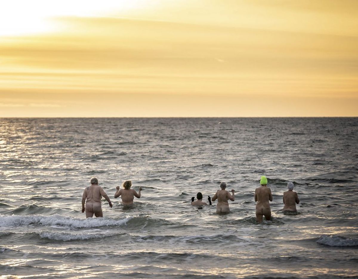 Vinterbadere bader i morgensolen omkring vandet ved havnen ved Faxe Ladeplads på Sydsjælland, mandag den 15. februar 2021.. (Foto: Mads Claus Rasmussen/Ritzau Scanpix)