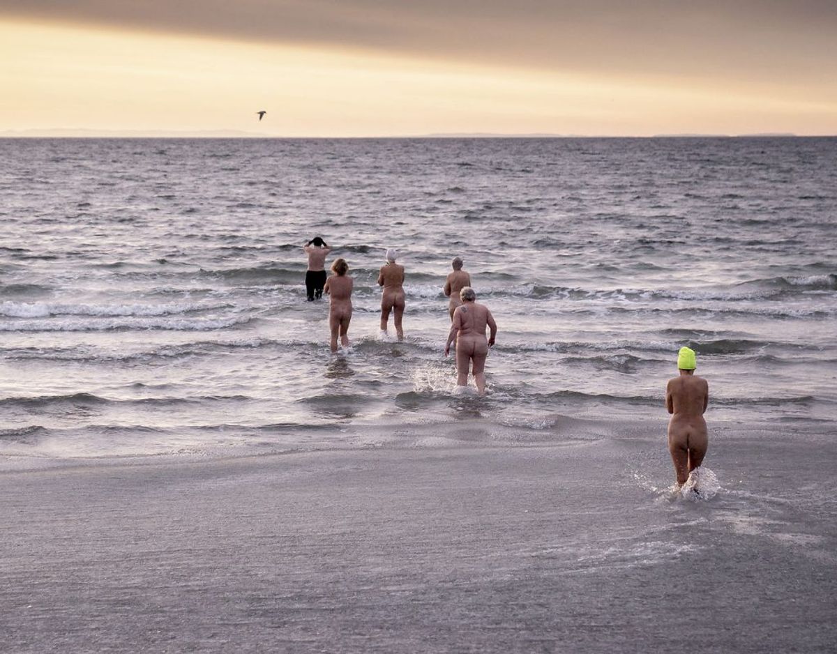 Vinterbadere bader i morgensolen omkring vandet ved havnen ved Faxe Ladeplads på Sydsjælland, mandag den 15. februar 2021.. (Foto: Mads Claus Rasmussen/Ritzau Scanpix)