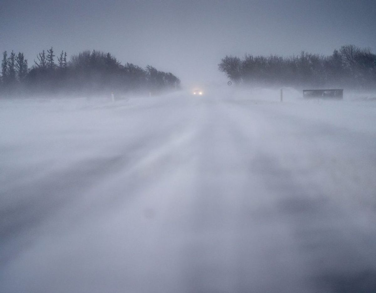 Et kraftig snevejr, der kan udvikle sig til en regulær snestorm, har kurs mod Danmark. Det oplyser DMI. Arkivfoto: Mads Claus Rasmussen/Ritzau Scanpix