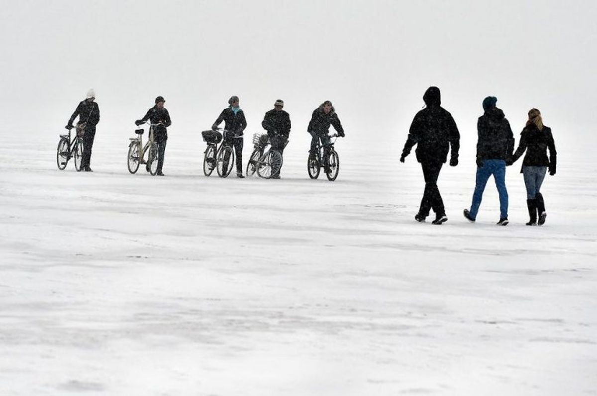 Brug en gren eller et halstørklæde i mangel af redningsudstyr. Foto: Henning Bagger/Scanpix