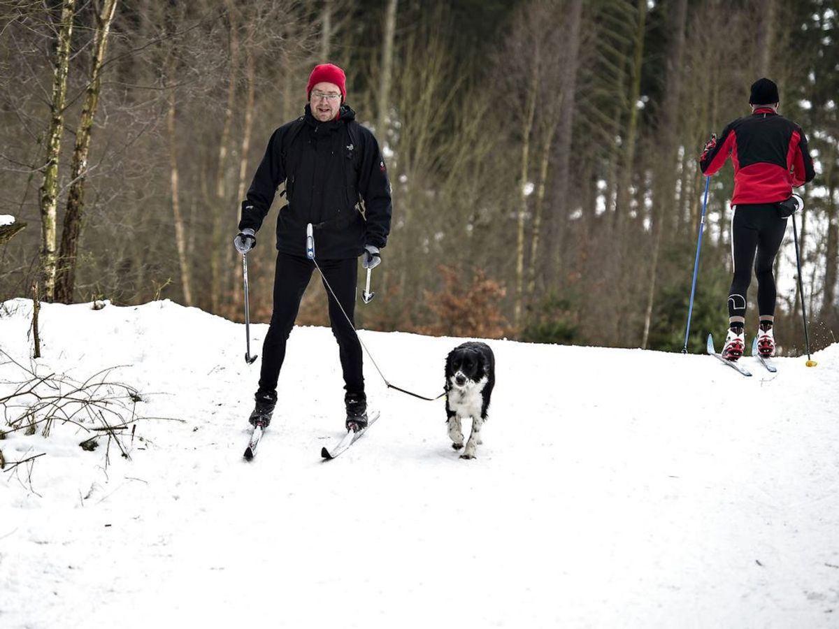 DM i langrend, som foregik i skovene omkring Odense, er lørdag blevet lukket for brud på coronarestriktionerne. Det bekræfter Fyns Politi over for DR Nyheder. (Arkivfoto: Henning Bagger/Scanpix 2017)