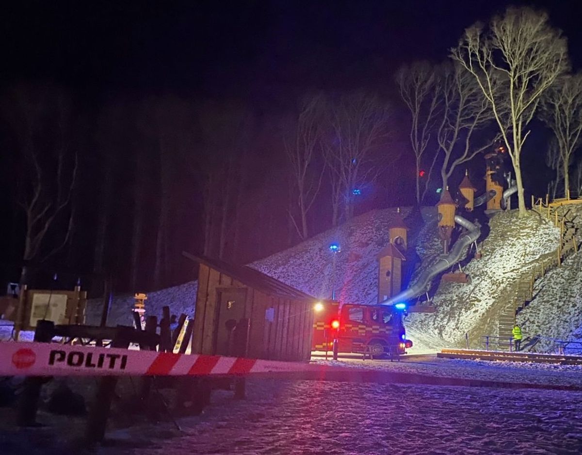 En naturlegeplads, drevet af frivillige, har fået ødelagt et tårn ved en brand. KLIK FOR FLERE BILLEDER. Foto: Presse-fotos.dk.