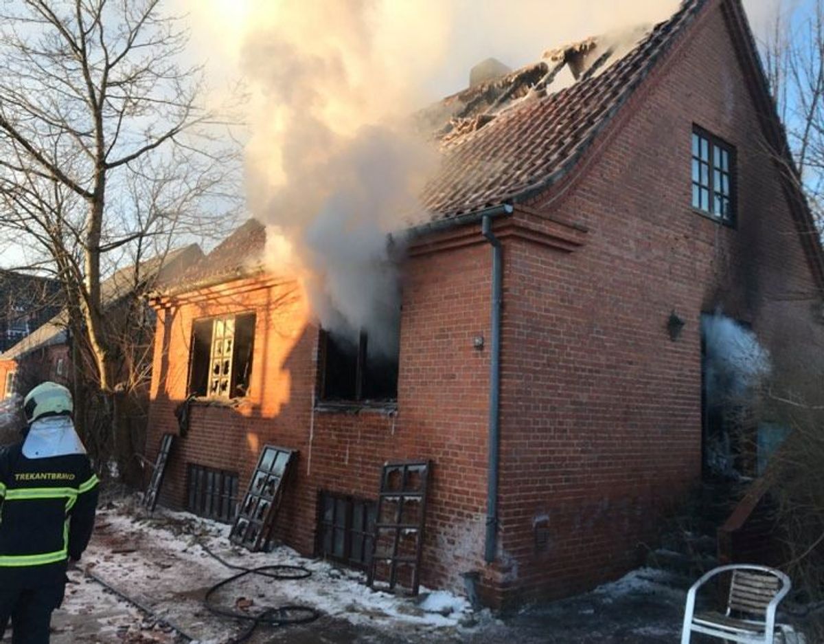 Foto: Maiken Krongaard