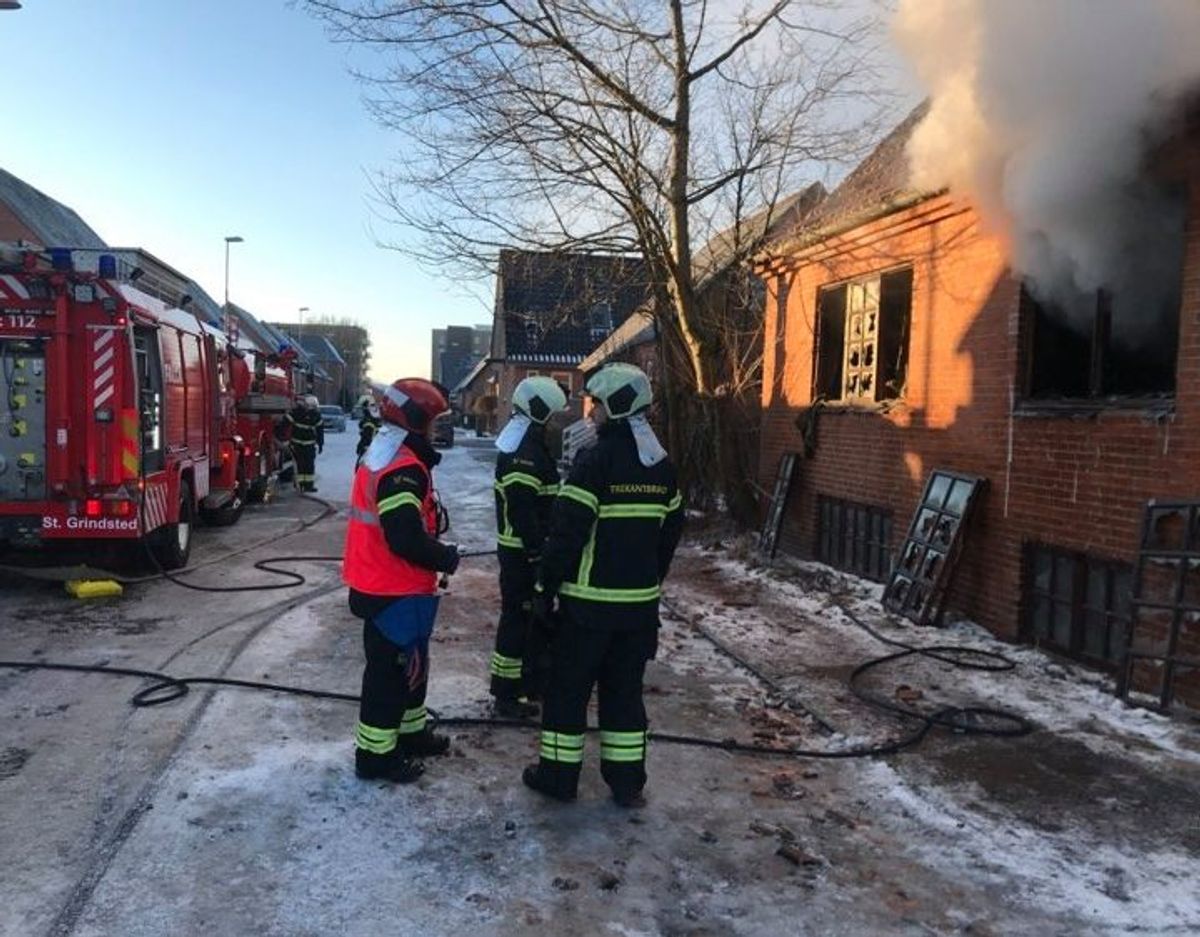 Foto: Maiken Krongaard