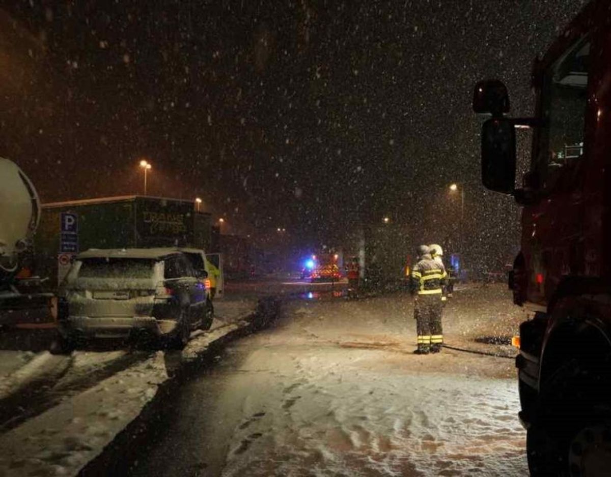Politi og brandvæsen arbejder onsdag morgen på at omlade overlevende dyr. Foto: Local Eyes.