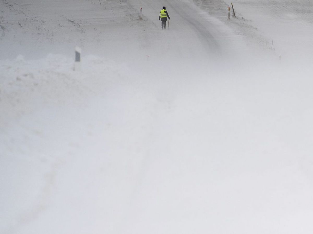 Sne og snefygning ved Sandby nær Ringsted på Midtsjælland. KLIK videre og se billeder fra Danmark. (Foto: Mads Claus Rasmussen/Ritzau Scanpix)
