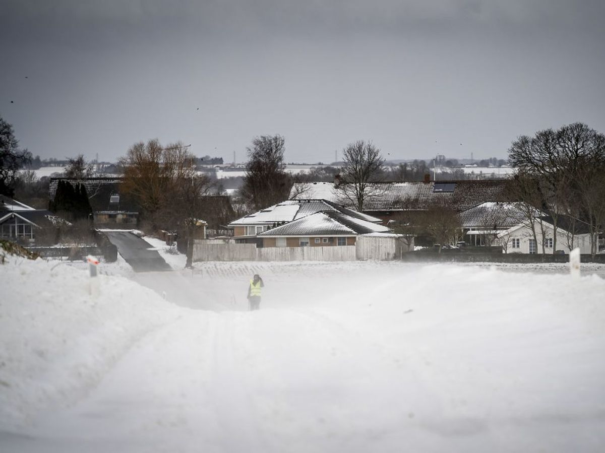 Sne og snefygning ved Sandby nær Ringsted på Midtsjælland. KLIK videre og se billeder fra Danmark. (Foto: Mads Claus Rasmussen/Ritzau Scanpix)