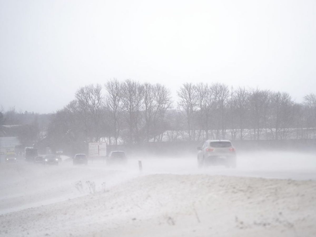 Det voldsomme vejr er startet- Ifølge DMI bliver det værre. KLIK og se flere billeder af vejret. Foto: Mads Claus Rasmussen/Ritzau Scanpix