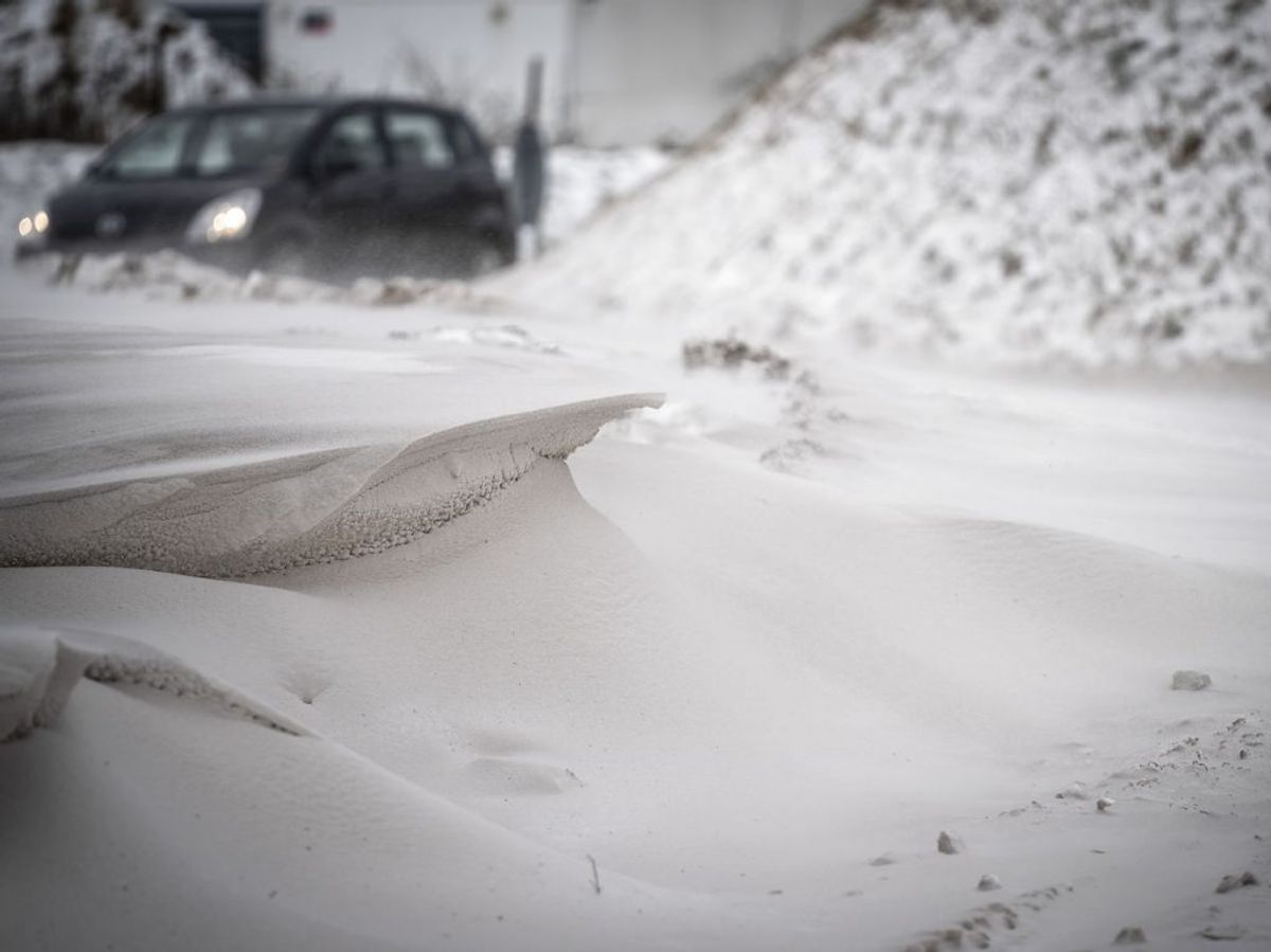 DMI har udsendt et vejrvarsel. KLIK for mere info. (Foto: Mads Claus Rasmussen/Ritzau Scanpix)
