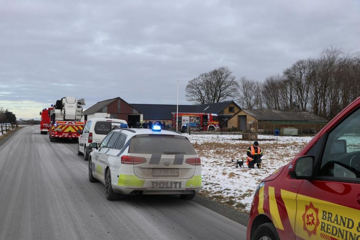 Det lykkedes ejeren at redde sit kvæg ud af en brændende stald. Foto: Øxenholt Foto.