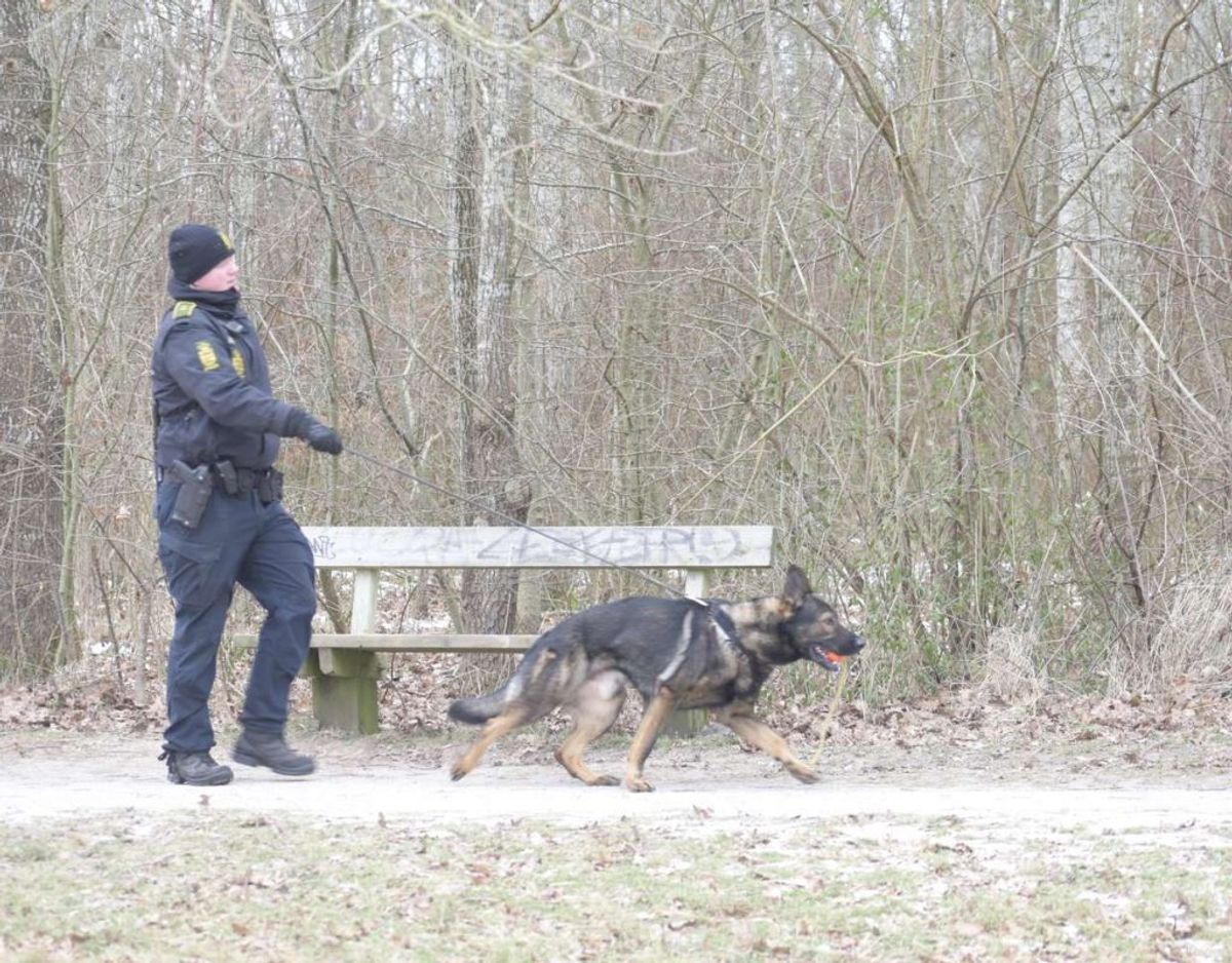 Politiet leder lige nu massivt efter den forsvundne kvinde. Her ved Brabrandstien. Foto: Øxenholt Foto.