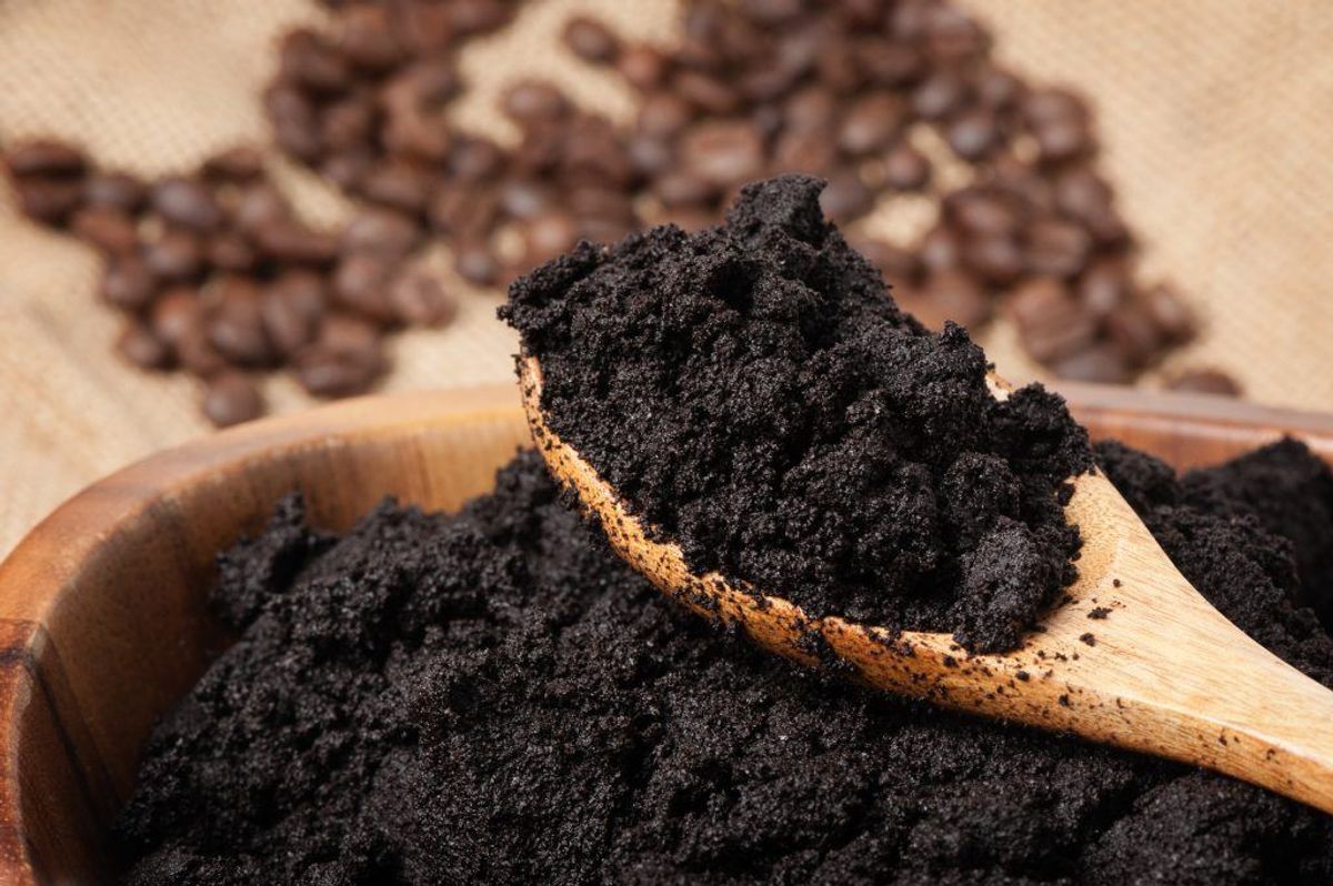 Kaffegrums. Foto: Scanpix.