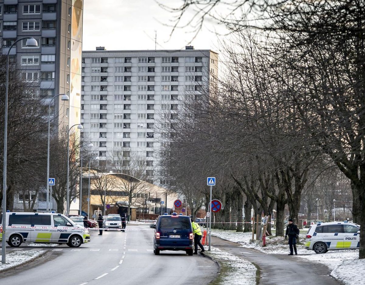 Politiet har hele dagen efterforsket i området. (Foto: Mads Claus Rasmussen/Ritzau Scanpix)