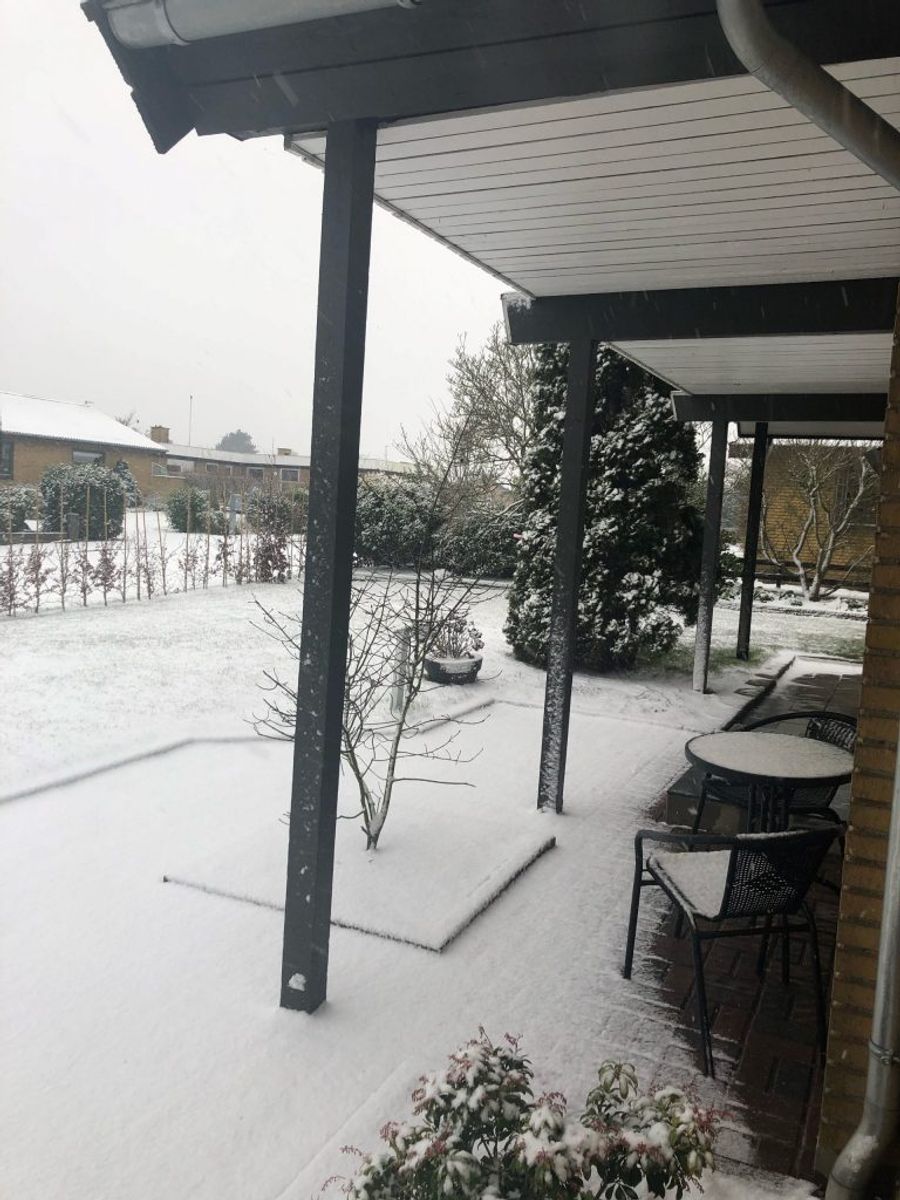 Jette fra Nybøl sender dette billede.