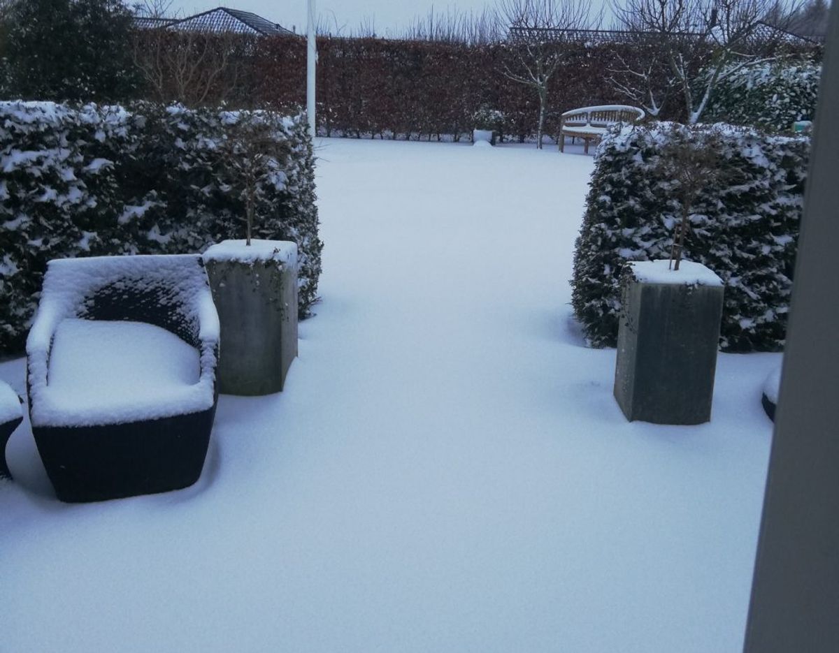 Sådan ser det ud i Næstved. Foto: Betty Solander-Rasmussen.