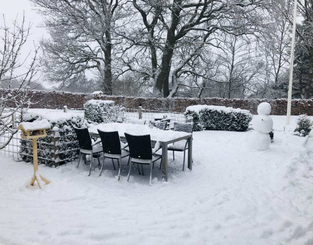 Charlotte sender dette billede fra Børkop ved Vejle – 10 centimeter sne, skriver hun.
