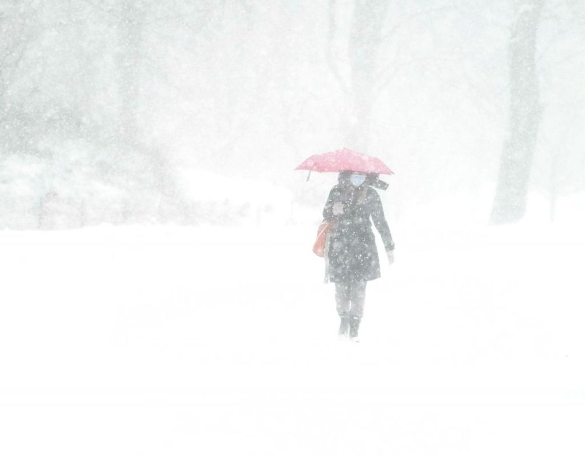 Kraftigt snefald har lammet New York og New Jersey. KLIK FOR FLERE BILLEDER. Foto: Scanpix