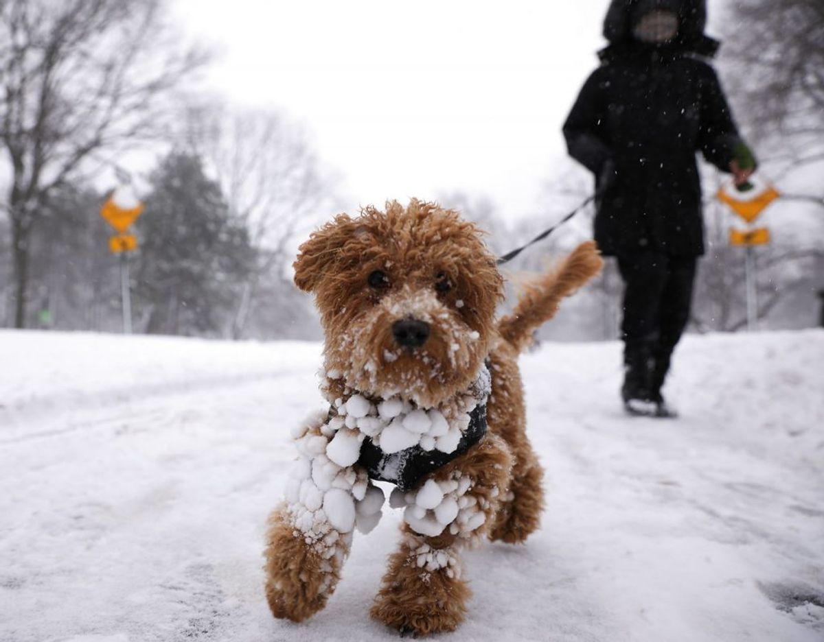 Kraftigt snefald har lammet New York og New Jersey. KLIK FOR FLERE BILLEDER. Foto: Scanpix