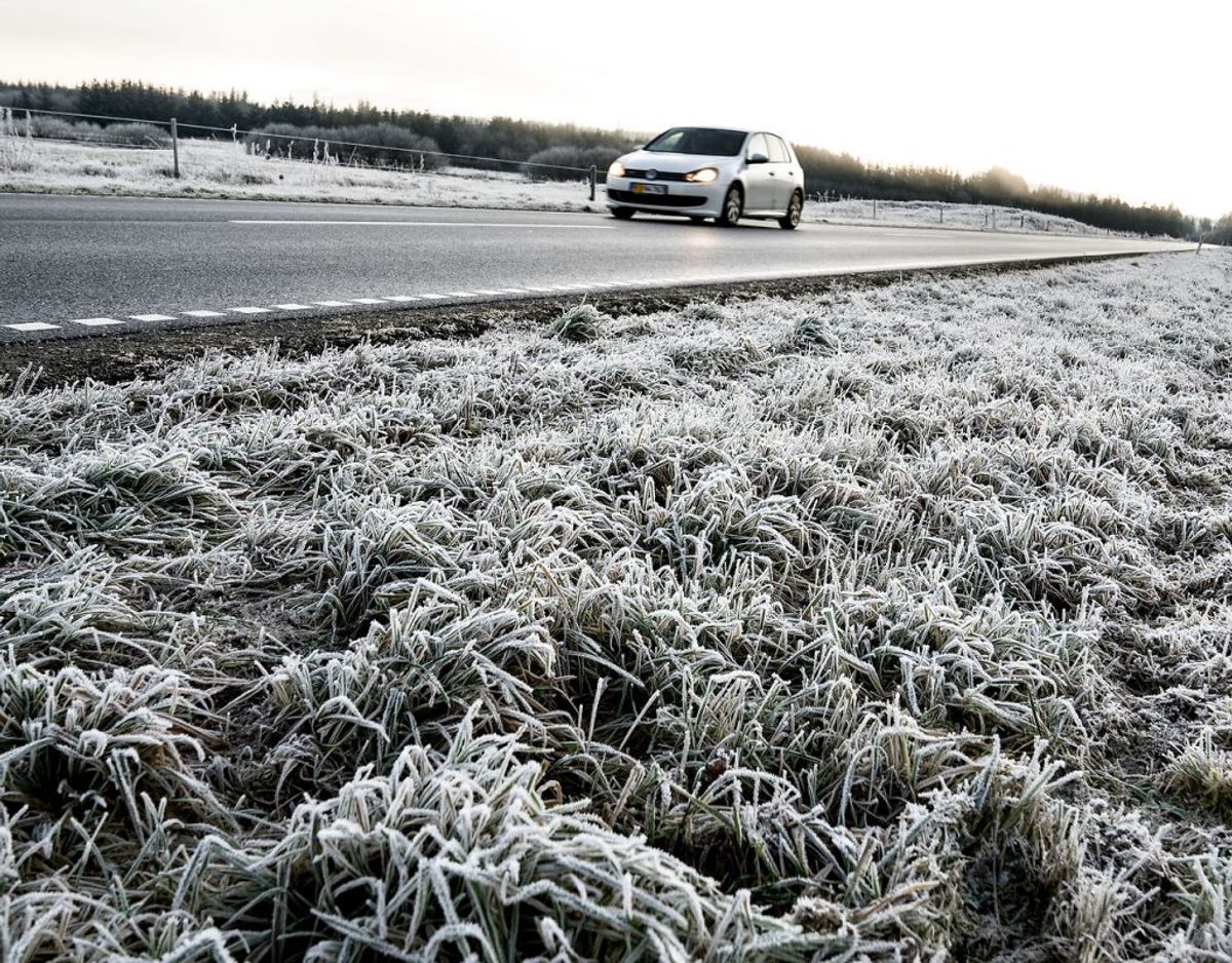 Rimtågen kan falde flere steder i landet. (Foto: Henning Bagger/Scanpix)