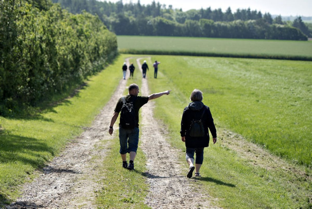 Selv om flere er begyndt at gå ture under coronaen, så frygter eksperter, at lukningen af motions- og sportaktivieter samlet set vil sætte varige spor på danskernes sundhed i lang tid fremover. (Arkivfoto) Foto: Henning Bagger/Scanpix