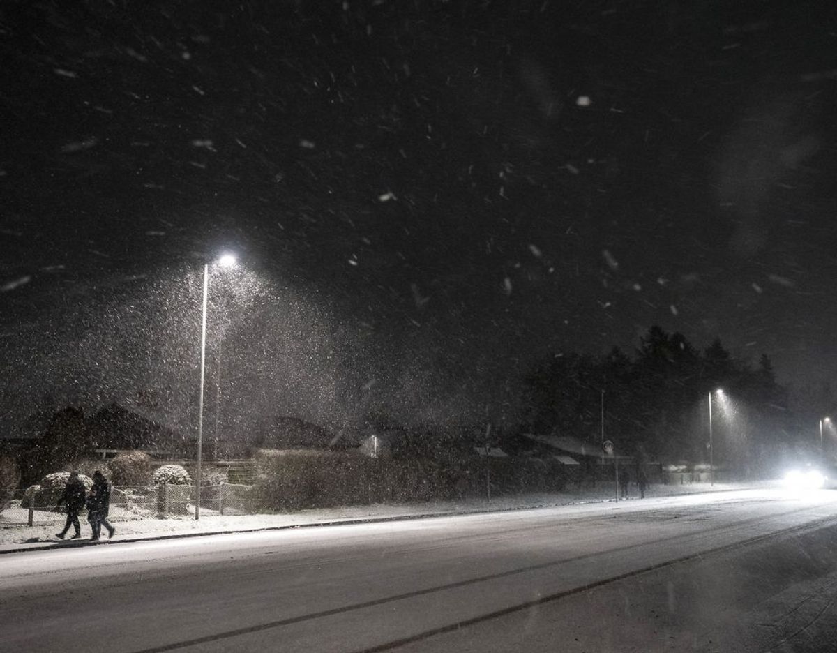 Der er udsigt til sne over Danmark natten til søndag. Foto: Mads Claus Rasmussen/Ritzau Scanpix