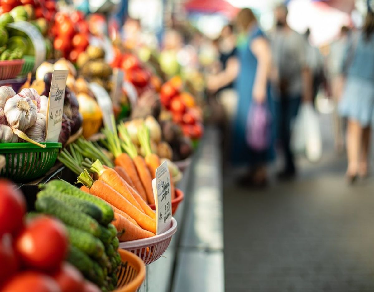 Close up of colorful array of vegetables at a fresh food market. Market and trade concept