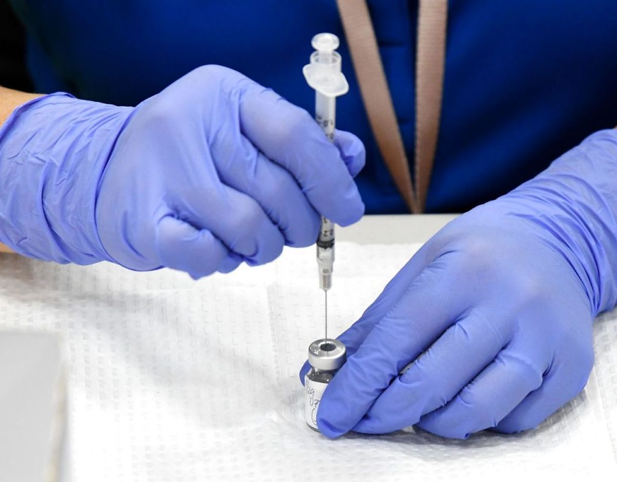 Der er kamp om doserne, og nu mener flere eksperter, at også dyr bør omfattes af vaccinationsprogrammerne. Foto: Scanpix