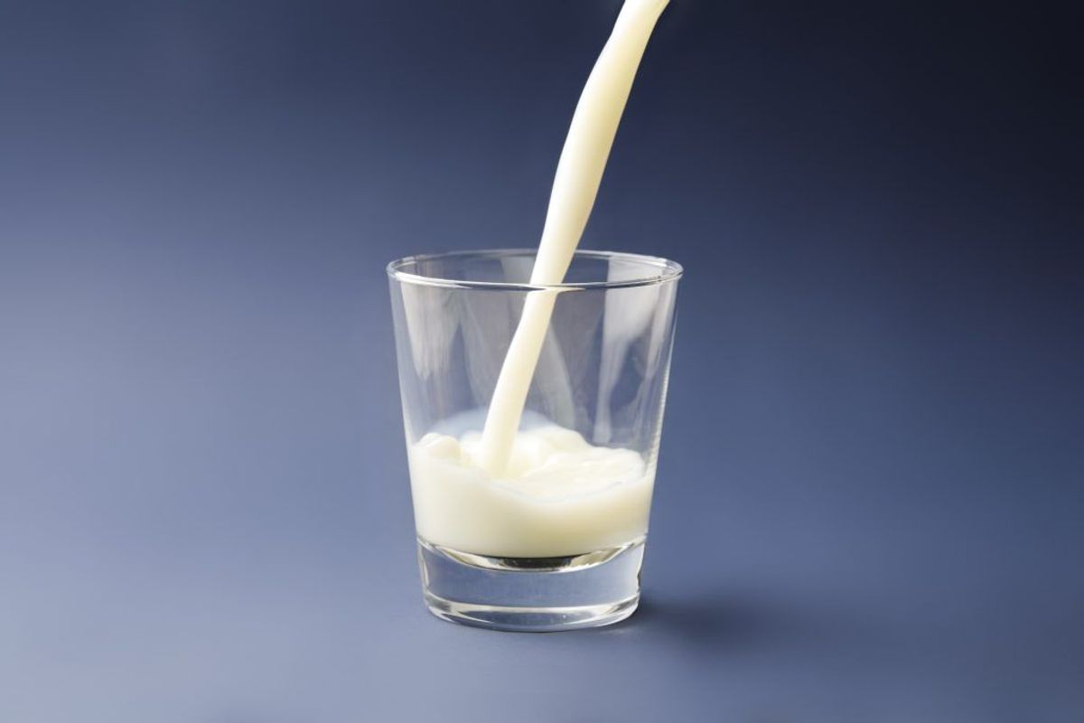 Mælk er en rigtig god kilde til calcium. KLIK VIDERE OG SE, HVILKE ANDRE FØDEVARER, DER ER GODE KILDER TIL CALCIUM. Arkivfoto.