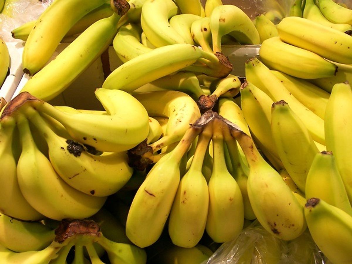 Bananer. Kilde: Videnskab.dk. Arkivfoto.
