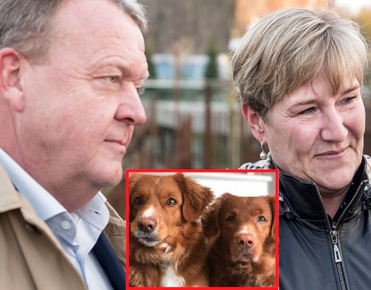 Lars og Sólrun Løkke Rasmussen er nu genforenet med Beauty. KLIK for mere. (Foto: Mads Claus Rasmussen/Ritzau Scanpix)