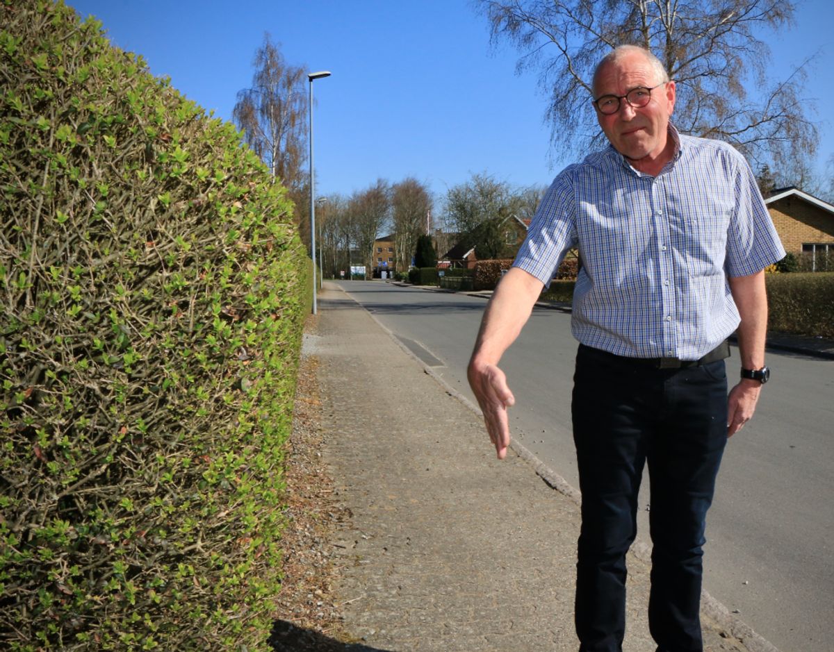 Til Bjarne Christensens store frustration kører der kæmpestore sværtransporter med blandt andet elementer fra vindmøller, som er otte meter brede og rager helt ud til hans hæk. Foto: Claus Jessen