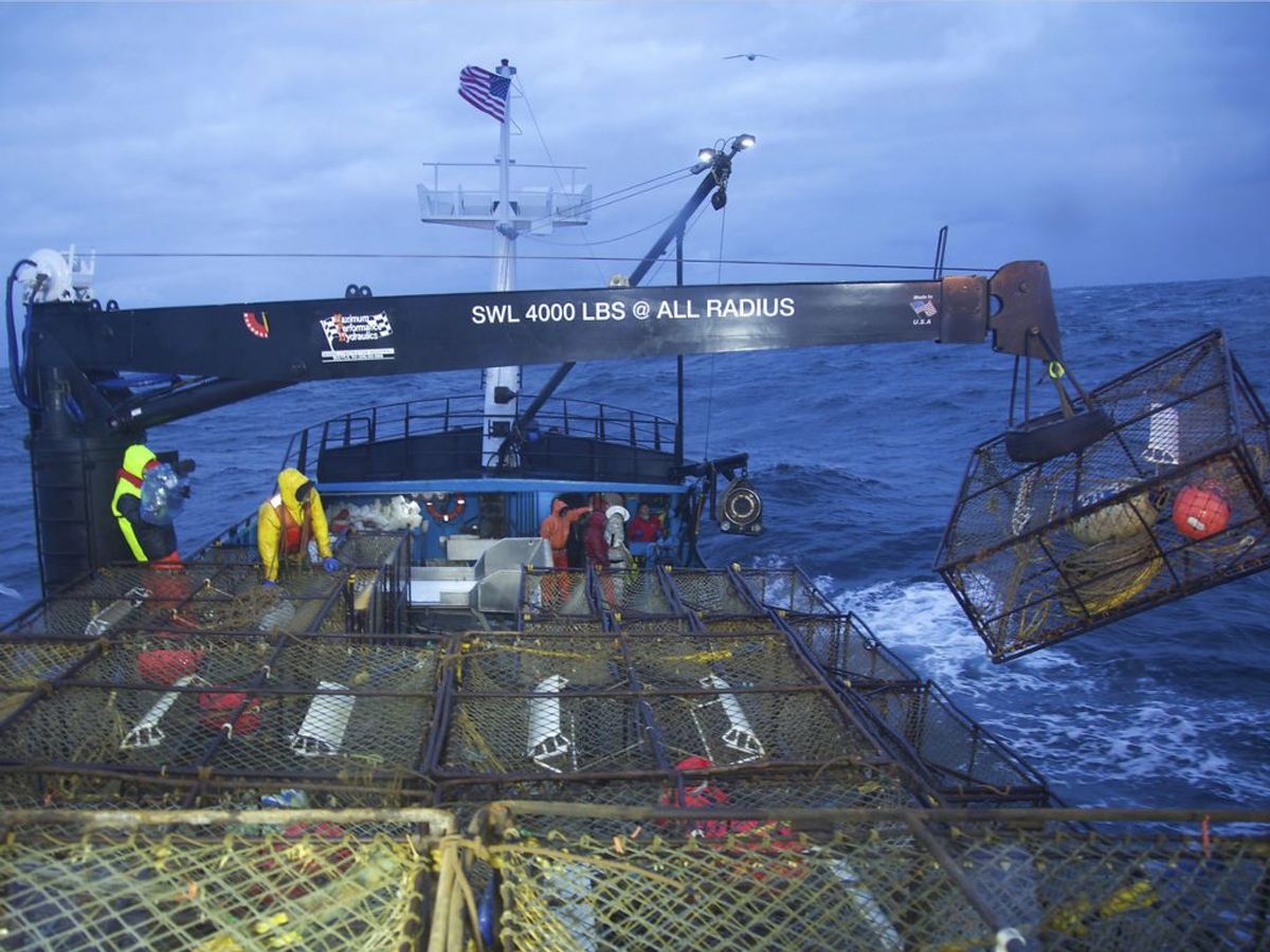 Nick McGlashan, kendt fra reality-serien Deadliest Catch (Livsfarlig Fangst) er død, 33 år gammel.
(Foto: Discovery Channel via AP)