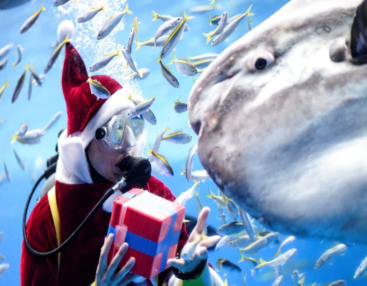 Foto: Philip FONG/Scanpix.