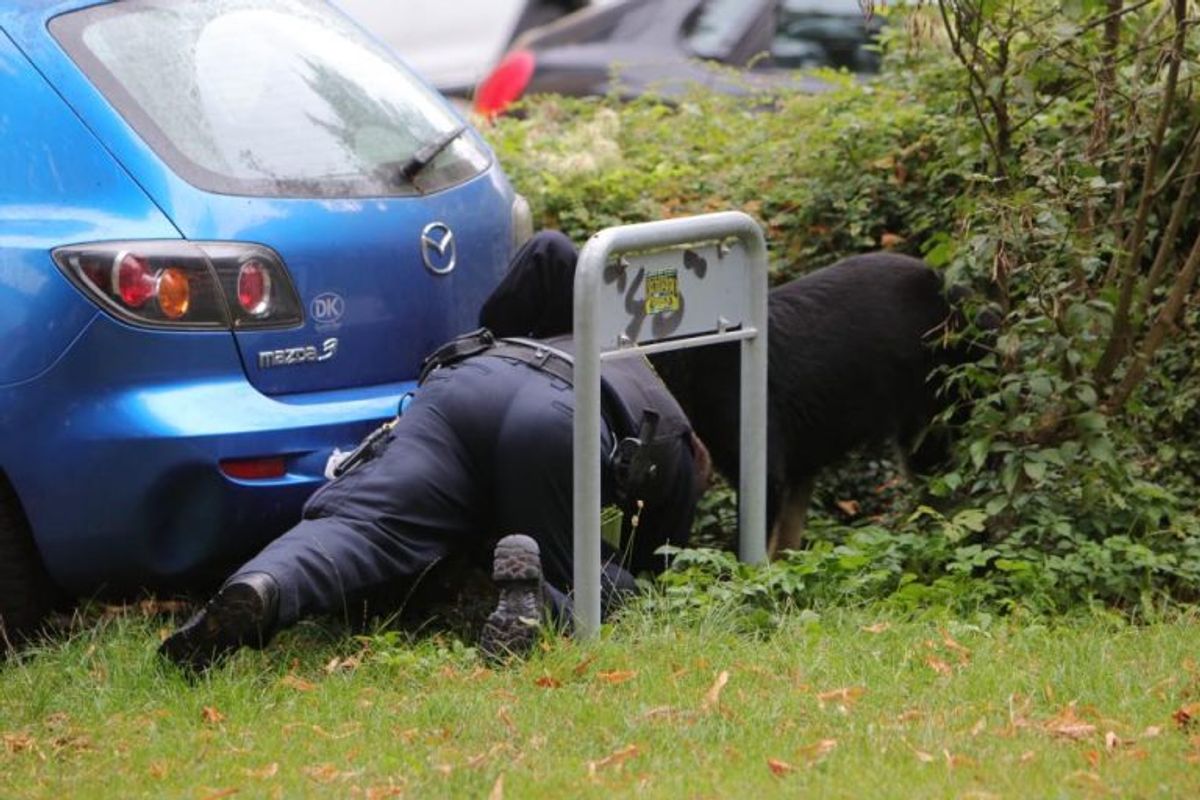 Politiet gennemførte massive undersøgelser på gerningsstedet. KLIK FOR FLERE BILLEDER AF ARBEJDET. Foto: Presse-fotos.dk