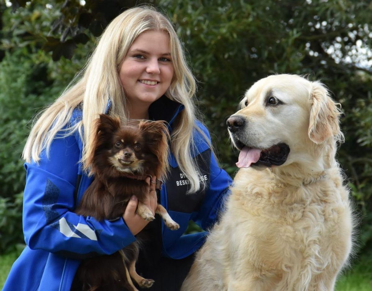 14-årige Johanne Skriver har samlet 40.000 kroner ind til Nordjyllands Dyreinternat. Her sidder hun med sine to hunde Fie og Buster. Foto: Dyrenes Beskyttelse