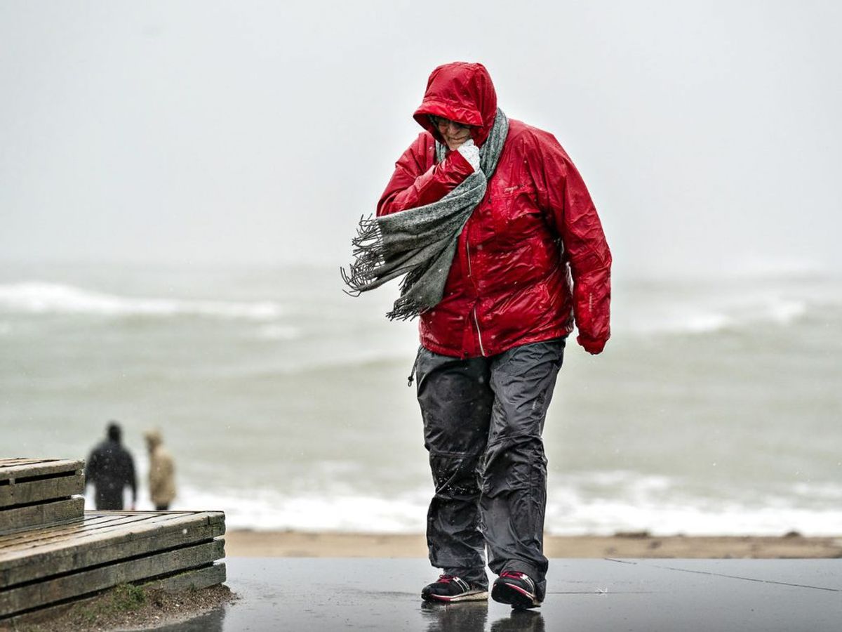 DMI har udsendt et varsle om kraftig vind hele dagen torsdag. KLIK VIDERE OG SE FLERE BILLEDER. Foto: Henning Bagger/Ritzau Scanpix
