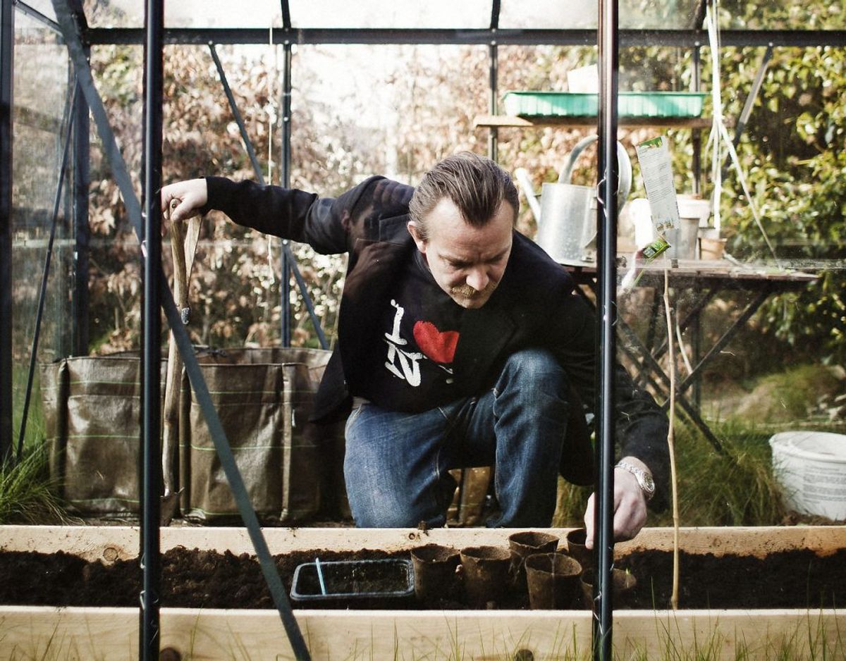 Det er en god idé at rydde op i drivhuset i efteråret, for at gøre plads til de planter, der eventuelt kan flyttes derind. Kilde: Plantorama Foto: Scanpix