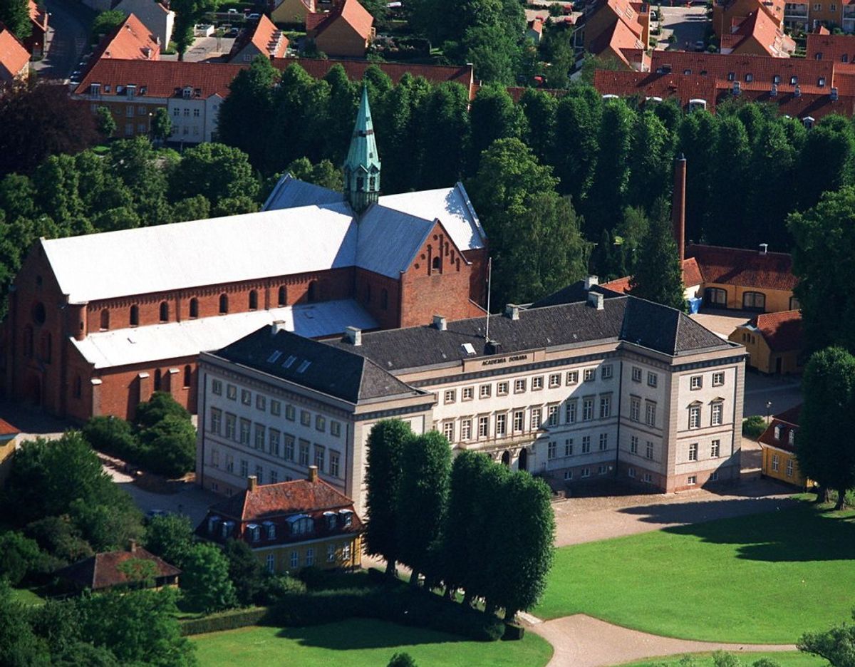 Sorø: 20,1 smittede per 100.000 indbyggere den seneste uge. Det er i faktiske tal seks.