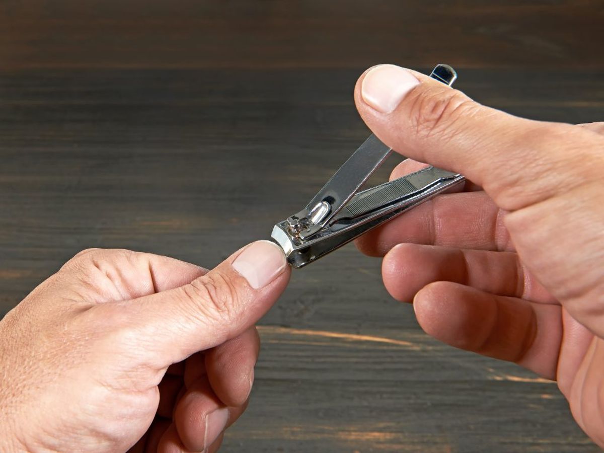 Afklippede fingernegle, dyrepels og hår kan alt sammen puttes i komposten.
Kilde: Family Handyman. Foto: Scanpix.