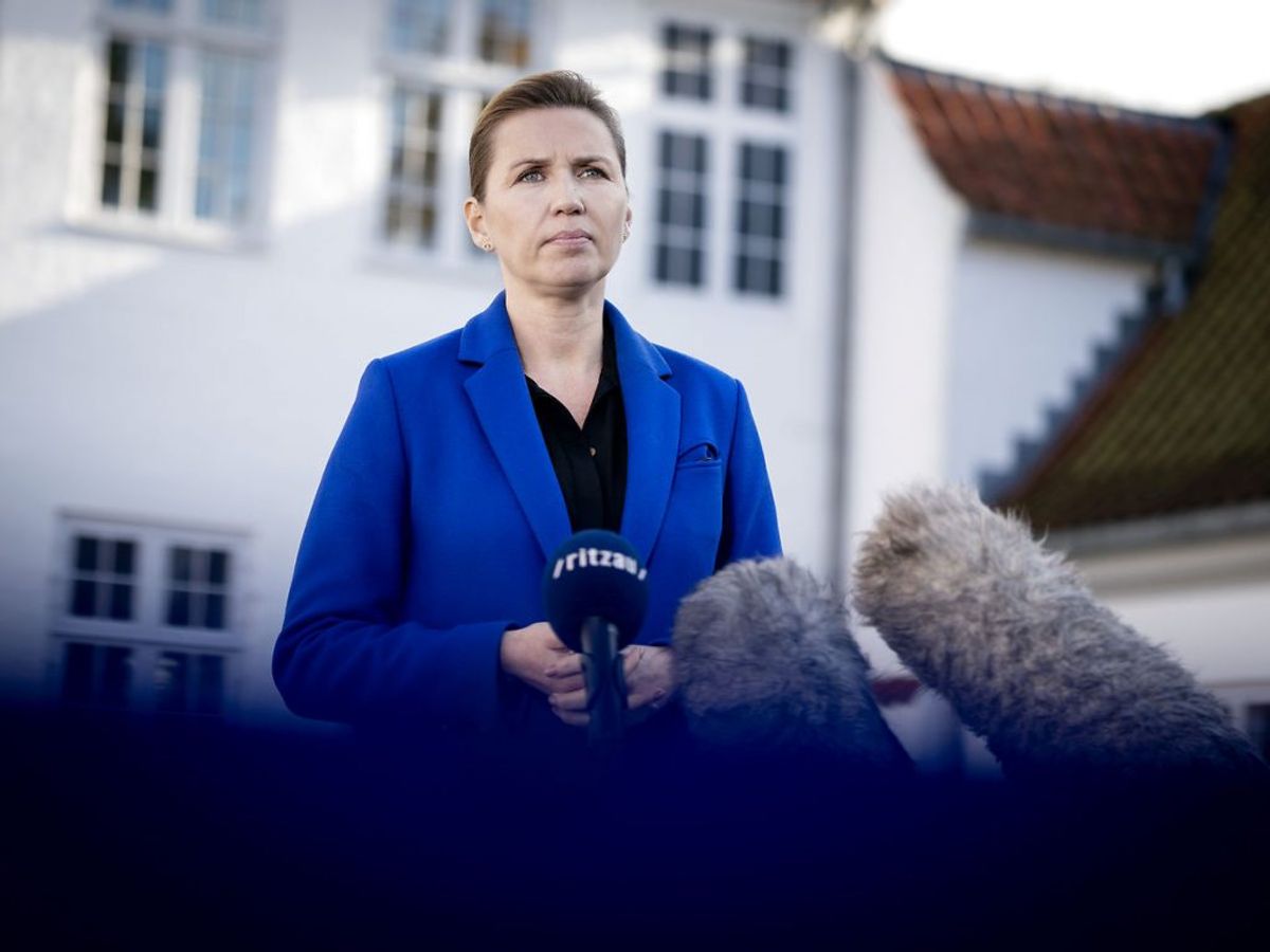 Regeringens lovforslaget vil forbyde hold af mink i Danmark frem til 31. december 2021. Foto: Liselotte Sabroe/Ritzau Scanpix