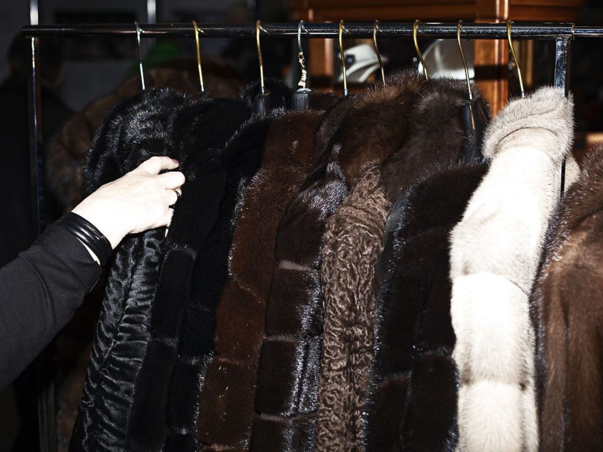 Kopenhagen Fur lukker og slukker på grund af mink-situationen i Danmark. (Foto: Jonas Skovbjerg Fogh/Ritzau Scanpix)
