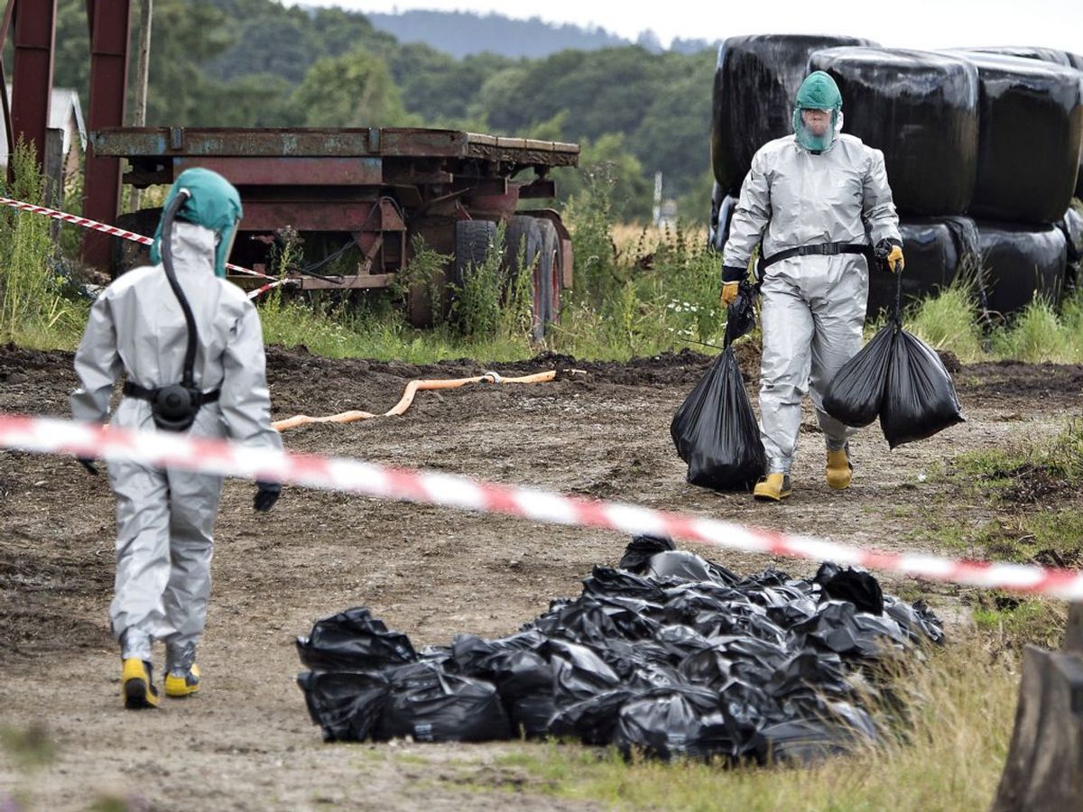 Konstateres der fugleinfluenza i opdræt, skal dyrene – som her – slås ned. (Arkivfoto: Henning Bagger/Scanpix 2016)
