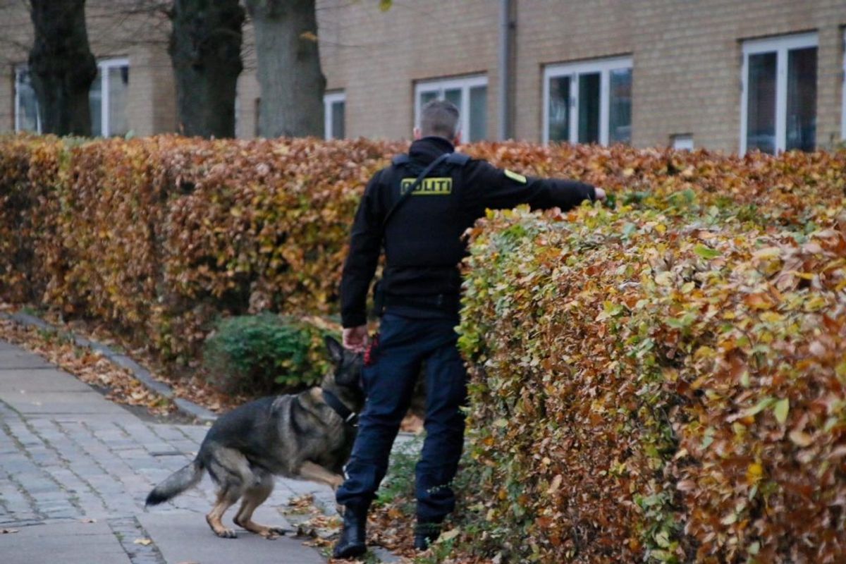 Politiet har onsdag været til stede på Horsebakken i Københavns Nordvestkvarter, hvor en 35-årig mand blev stukket ned. KLIK for flere billeder. Foto: Presse-fotos.dk.