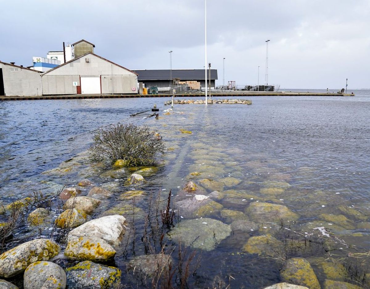 I Skive Kommune har der de seneste syv dage været 69 smittetilfælde. Det svarer til en incidens på 151 per 100.000 indbyggere. Den officielle bekymringsgrænse er 20. Foto: Scanpix
