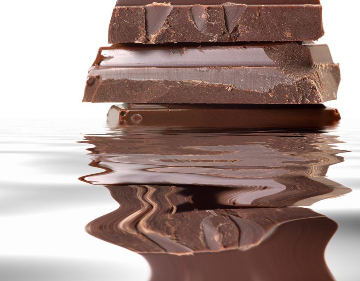 Newsbreak.dk har tidligere skrevet, at mørk chokolade er giftigt for hunde. De kan slet ikke tåle det, da det kan få dem til at kaste op, give dem diarre og påvirke deres nervesystem. Genrefoto.