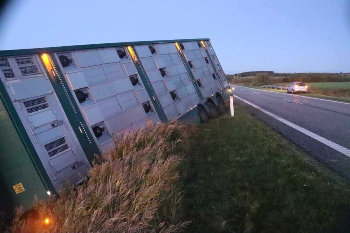 Lastbilen er endt i grøften. Klik for flere billeder fra stedet. Foto: Presse-fotos.dk