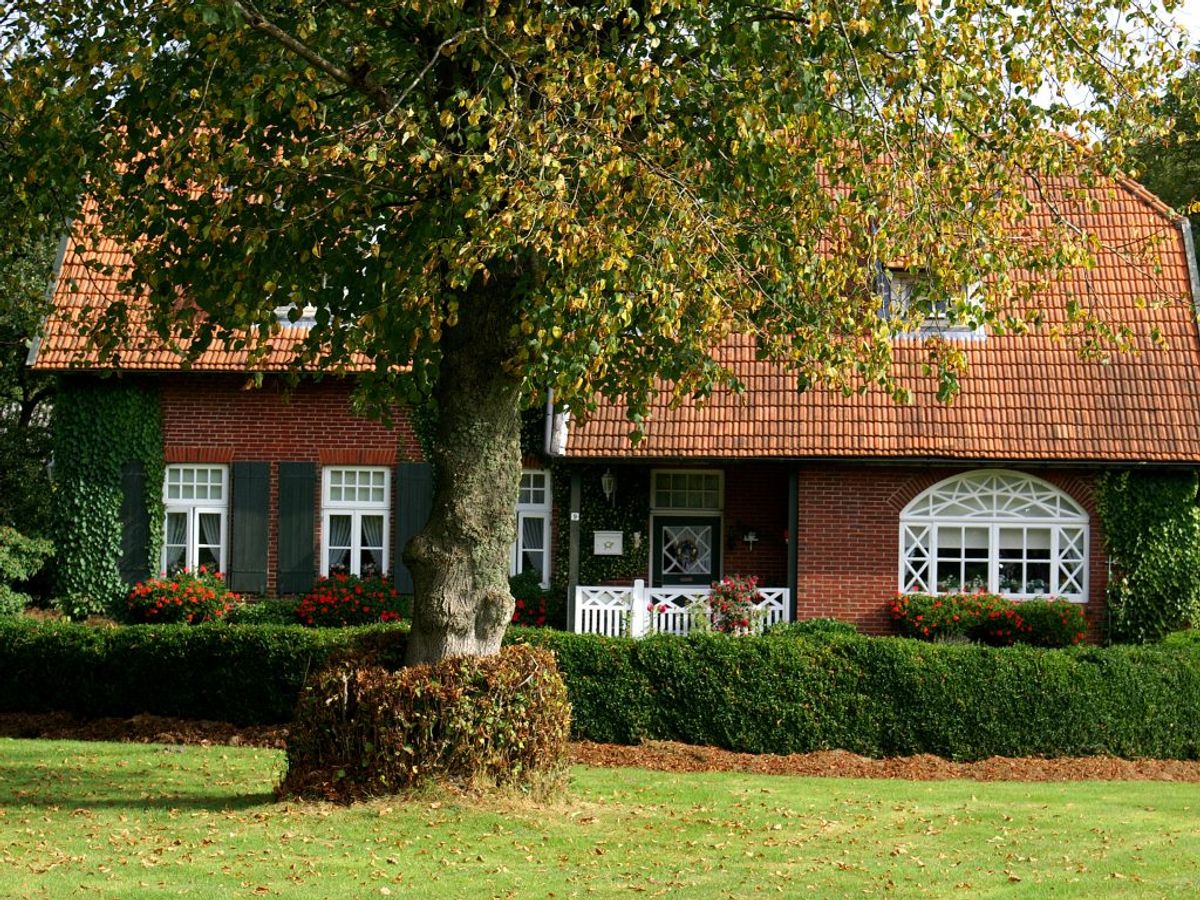 Det er vigtigt at sørge for, at dit hus er klar til efteråret og vinteren. Det gælder både for sommerhuset og helårshuset. KLIK VIDERE OG SE 10 TING, DU BØR TJEKKE. Foto: Scanpix.