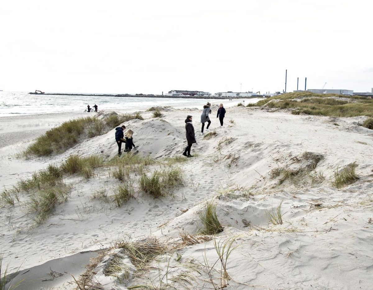 Klithærværket i Skagen vakte stor opsigt. (Foto: Henning Bagger/Ritzau Scanpix)