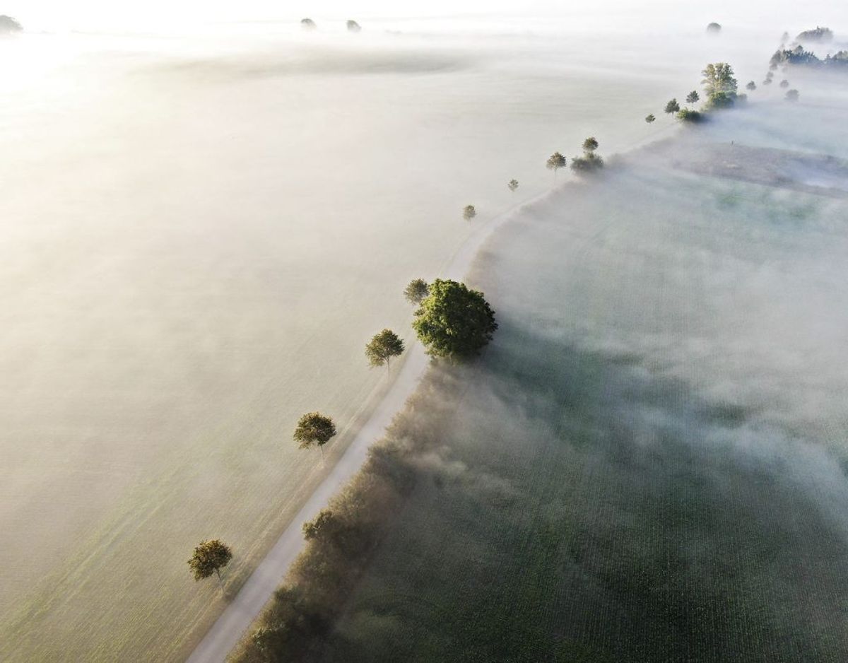 Her er det en vej ved Kværndrup på Sydfyn, der ligeledes er dækket af tåge. Foto: Michael Bager/Ritzau Scanpix.