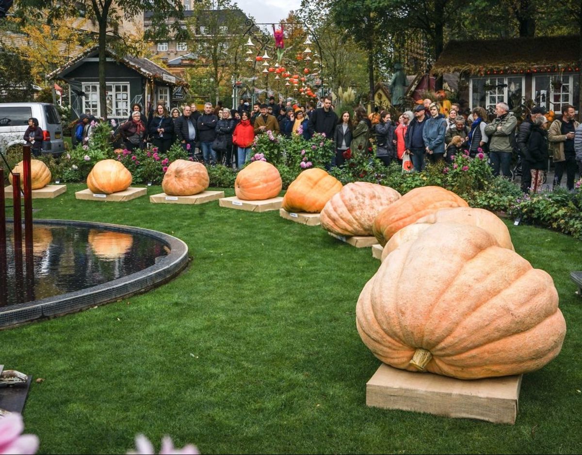 Foto: Tivoli.